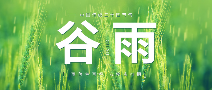 谷雨：雨落生百合，万物皆可期