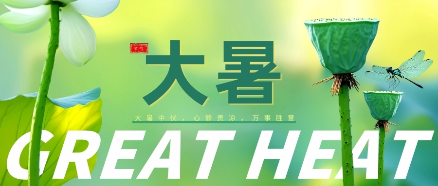 大暑｜蝉鸣夏日长，风动荷花香